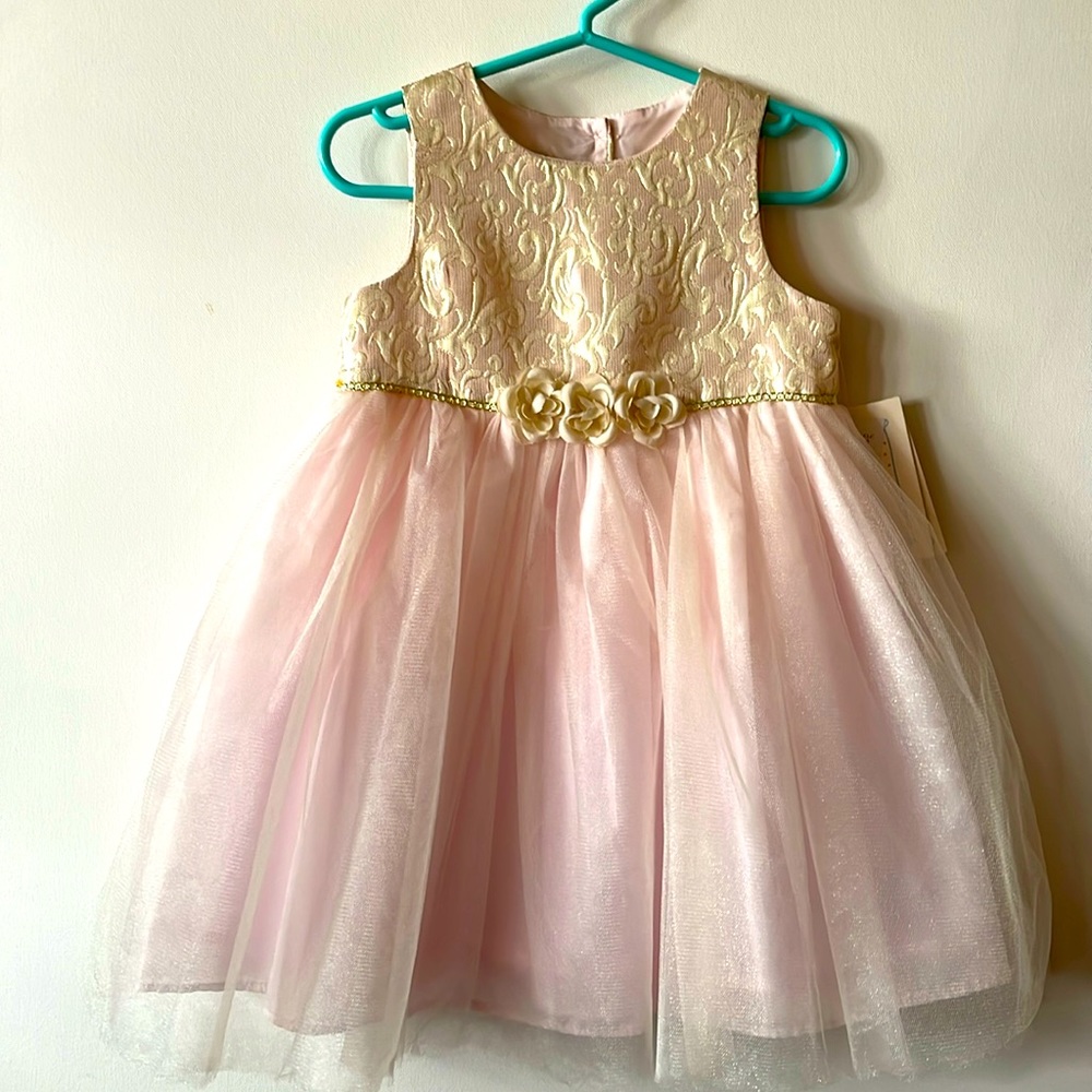 NWT Baby Girl 24M pink & gold dress